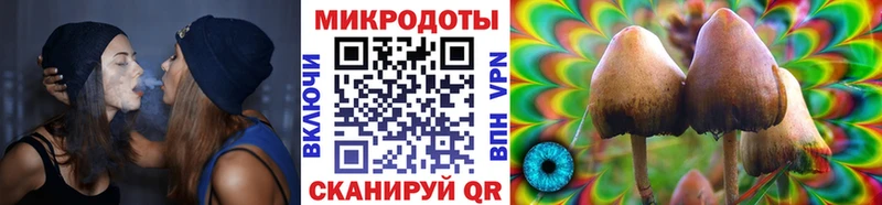 Галлюциногенные грибы MAGIC MUSHROOMS Кудымкар