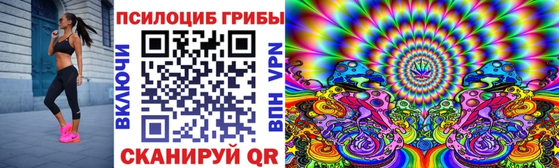 Псилоцибиновые грибы Magic Shrooms  мега сайт  Кудымкар  наркотики 